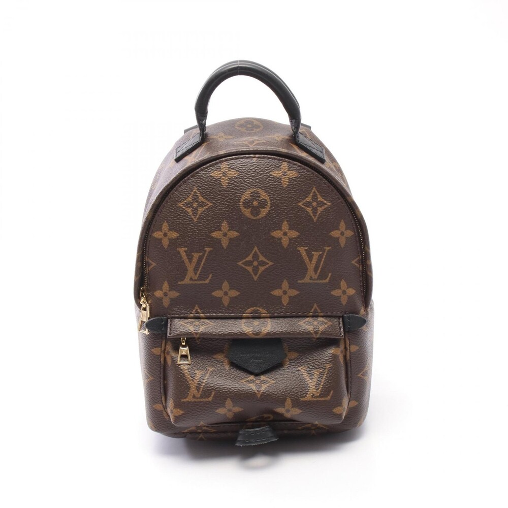 Louis Vuitton Palm Springs Mini #353604L14B